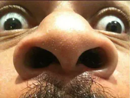:dieudo_nez: