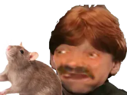 :croutard: