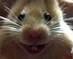 :Hihizinzin: