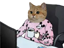 :sodium_celestinn: