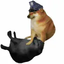 ponch