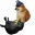 Photo de profil de ponch