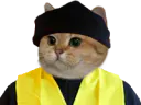 :sodium_gilet2: