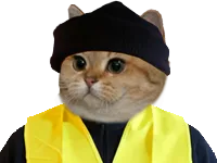 :sodium_gilet2: