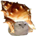 :ChatCrustace: