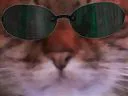 :chat_zoom_matrix: