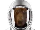 :Teddi-cosmonaute: