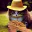 Photo de profil de Chatpodpaille