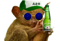 :Tarsier: