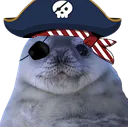 :phoquepirate: