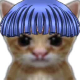 :Rikat: