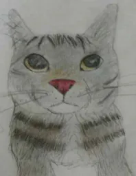 :CS_dessin: