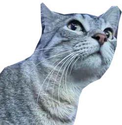 :cs_chokbar: