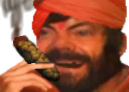 :Indien_ganged_fume: