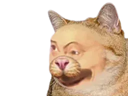 :Regarde_mon_chat: