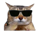 :Chatchadd: