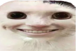 :ChommeSourireMalsain: