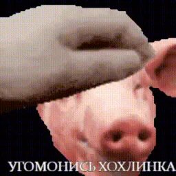 :bon_ukrainix: