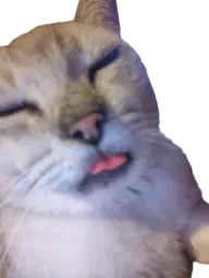 :Chatgolmon: