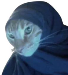 :Chat_vador: