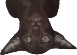 :Chat_Gobelin_retourne_miroir: