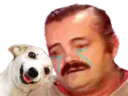 :risitriste_chien:
