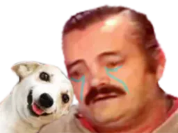 :risitriste_chien: