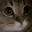 Photo de profil de An0nymonche