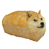 :shiba_brioche: