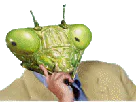 :mante_this: