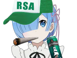 :RemRSA: