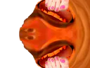 :Risitas_feet_: