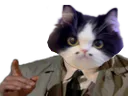 :chatbo: