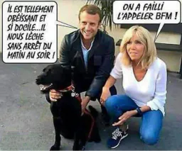 :BFMBri: