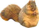 :ecureuilgros: