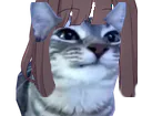 :cs2_menhera_stbenzo: