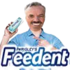 NePasFeed