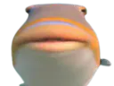 :Big_fish: