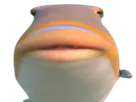:Big_fish: