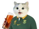 :CattoAfs2: