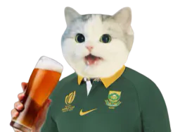 :CattoAfs2: