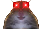 :Hampt_Red_Eyes:
