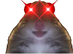 :Hampt_Red_Eyes: