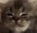 :Chatlune: