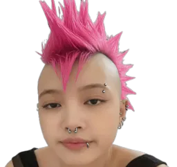 :Misere_punk_a_chien: