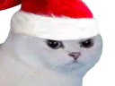 :noel_vener: