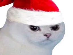 :noel_vener: