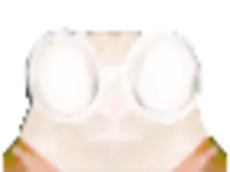 :chat-blanc: