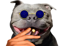 :pitbull_redpill: