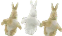:lapindanse: